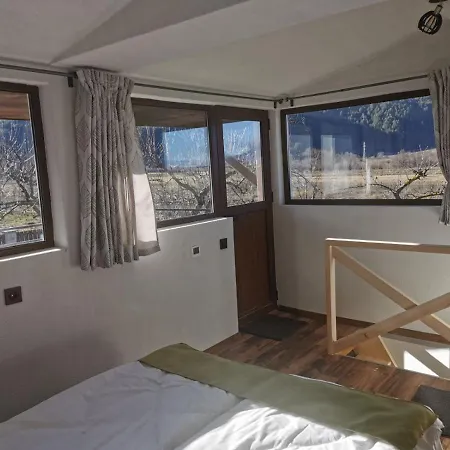 ергини 多布里尼什特