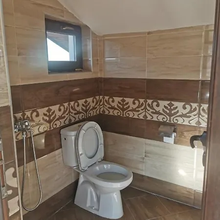 ергини 公寓 多布里尼什特