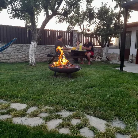 ергини * 多布里尼什特