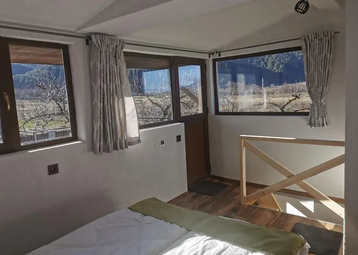 ергини 도브리니쉬트