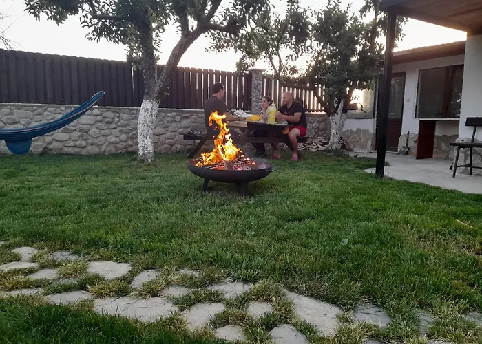 ергини * 도브리니쉬트